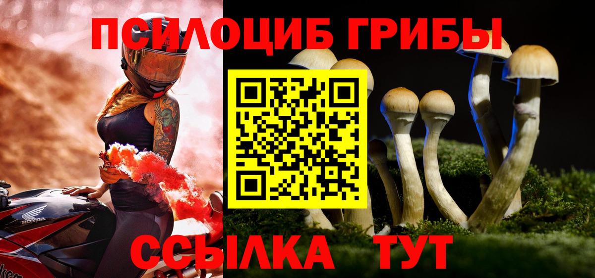 Псилоцибиновые грибы Psilocybe  купить закладку  Ангарск  Вход с VPN 